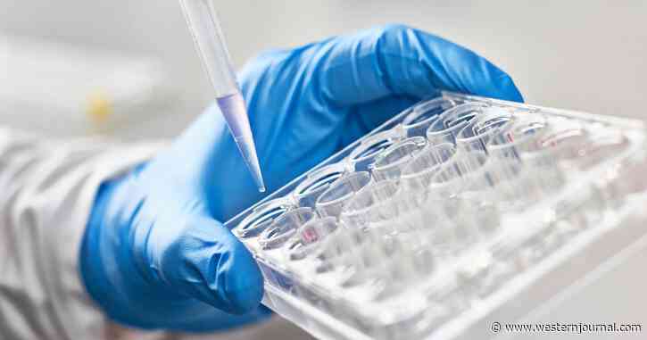 First Time in History: All Patients in 100% Remission in Cancer Treatment Early Trial