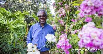 A third-generation gardener and a triple lot come together for a great Uptown outdoor living area - NOLA.com