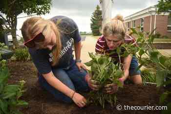 Master Gardener program to examine weeds, pests - The Courier