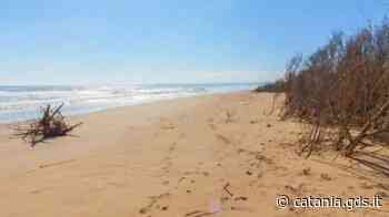 Catania, si butta in mare e salva a nuoto un adulto e tre bambini - Giornale di Sicilia