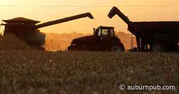 Grain shipping traffic increases on Lake Ontario due to Ukraine war - The Citizen