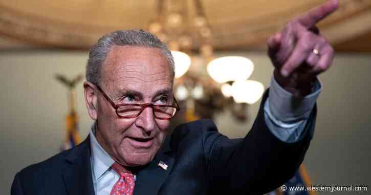 Chuck Schumer Accused of 'Clear Incitement of Violence' Following Arrest of Would-Be Kavanaugh Assassin