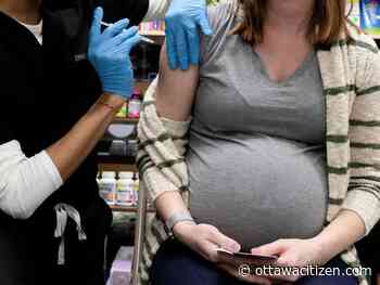 Vaccination of pregnant mothers lowers risk of COVID-19 in infants: study