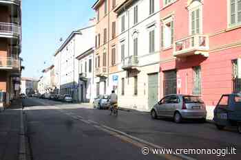 Cremona, il 9 e 10 giugno intervento antiparassitario su alcune piante - CremonaOggi