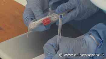 Covid-19, altri 47 positivi nelle Valli Etrusche - Qui News Cecina