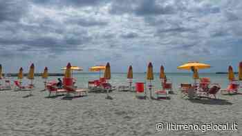 Vada, nuova vita per la spiaggia dopo il ripascimento - Il Tirreno