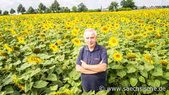 "Ein besseres, aber noch kein normales Jahr für die Landwirtschaft" - Sächsische.de