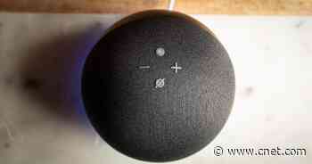 Change These Amazon Echo Settings to Fix Alexa's Communication Problems     - CNET