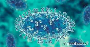 ‘Anyone can get monkeypox’: experts emphasize science-first messaging