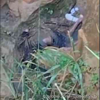 Homem não identificado é encontrado morto em Itamaraju - Primeirojornal