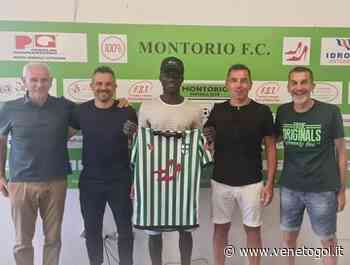 Aggiornamenti da Montorio, Villorba, Jesolo, Orsago - venetogol.it