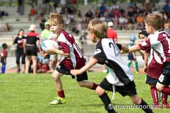 Minirugby/Allo Jesolo il trofeo Città di Codroipo – Giornale Nord Est - giornalenordest