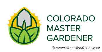Master Gardener: Gardening with wildlife | SteamboatToday.com - Steamboat Pilot & Today