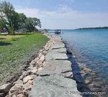 Conservation authority helps 'beautify' Port Lambton shoreline - BlackburnNews.com