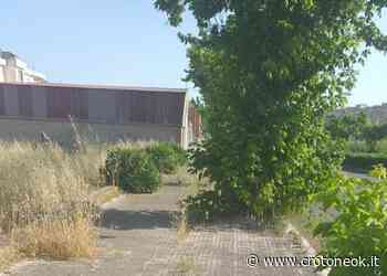 Crotone, una città verde anche durante l'estate ~ CrotoneOk.it - CrotoneOK.it