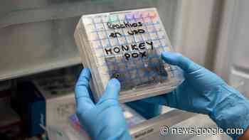 We Are Not Ready for Monkeypox - Lifehacker