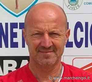 DANIELE AMAOLO sposa ancora il progetto Pineto - marcheingol.it