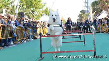 Alba Adriatica, due giorni all’insegna del Pet Pride - TGCOM
