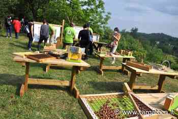 Progetto ORTOgrafia: in Brasile si parlerà di Alba grazie agli... ortaggi - TargatoCn.it