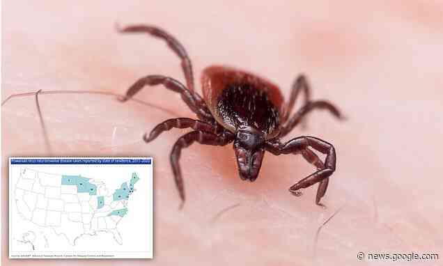 Connecticut woman in her 90s dies after testing positive for rare tick-borne Powassan virus - Daily Mail