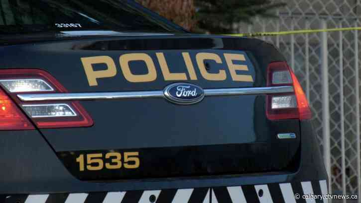 Calgary police seek public assistance in Hidden Valley assault
