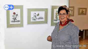 Kulturzentrum Rathenow: Ausstellung "Links und rechts des Havelradweges" von Christine Kowalkowski - Märkische Allgemeine Zeitung