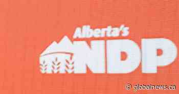 Former Alberta NDP workers say volunteers and constituency workers ignored, demeaned
