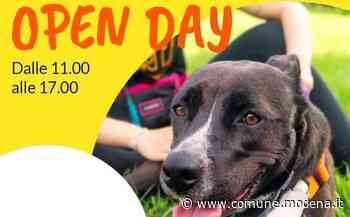 Open day del Canile intercomunale di Modena - Comune di Modena