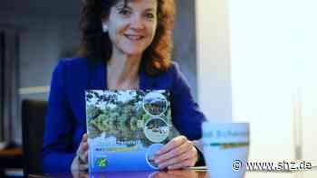 Wettbewerb: Schenefeld sucht neues Stadtlogo und neuen Slogan - shz.de