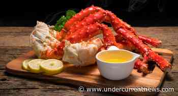 US makes mad dash for Russian king crab, nearly quadruples normal quantities - Undercurrent News