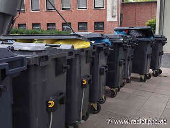 Nachholtermine für die Müllabfuhr heute in Horn-Bad Meinberg und Leopoldshöhe - Radio Lippe