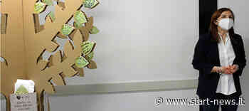 ASP Enna. Oncologia : integrazione Ospedale territorio – StartNews - StartNews