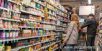 Handelsverbandspräsident: "Homeoffice ist Gift für die Produktivität" - Unternehmen - DER STANDARD