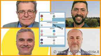 AMMINISTRATIVE ARDEA 2022: PARTECIPA AL SONDAGGIO POPOLARE - MeridianaNotizie