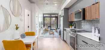 6 seriously nice rentals you can find in Edmonton for under $1100 right now - Curiocity