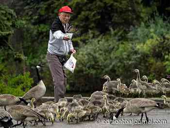 Edmonton weather: Nothing but rain for the next couple of days - Edmonton Journal