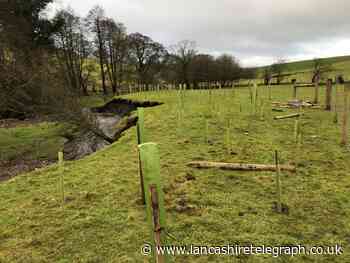 Mini wildlife project grants worth £58k could be made available to councils in Lancashire