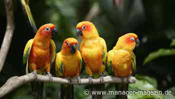 Networking: Wie Sie wieder einsteigen