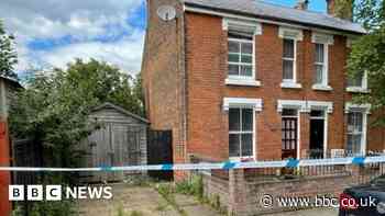 Man charged with Colchester murder of university lecturer