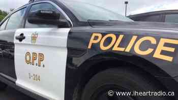 Suspected cocaine seized after traffic stop in Cobden - iHeartRadio.ca