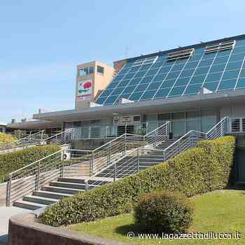 'Pedagogia globale - Nuove consapevolezze': conferenza di Lucia Carpi sui bisogni educativi naturali - La Gazzetta di Lucca