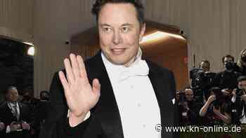 Elon Musk bekommt Rohdaten zu Tweets von Twitter