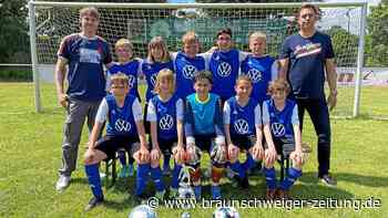 E-Junioren der JSG Helmstedt II holen die Kreismeisterschaft - Braunschweiger Zeitung