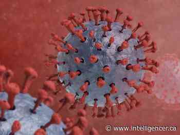 COVID-19 down in region's hospitals - Belleville Intelligencer