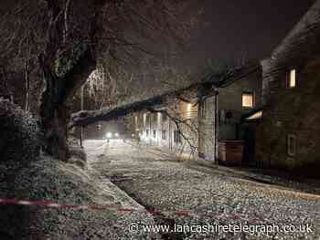 "Unacceptable service" by electricity networks after Storm Arwen