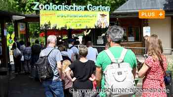 Parkplatzsuche vor dem Zoo-Besuch: Die Sozialfraktion fordert ein Parkhaus