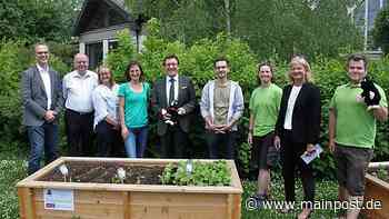 Projekt "Selbstversorger-Kitas": Beteiligte in Tauberbischofsheim hoffen auf weitere Finanzierung - Main-Post