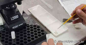 Dengue: Brusque chega aos 4,6 mil casos da doença - O Município