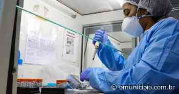 Confira números atualizados de casos e internações por Covid-19 em Brusque - O Município