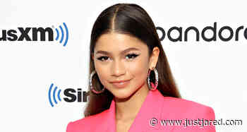 Zendaya Explains Why She Could Never Be a Pop Star
